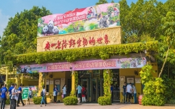 Chimelong Safari Park