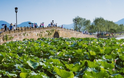 6 Days Shanghai Suzhou Hangzhou Tour