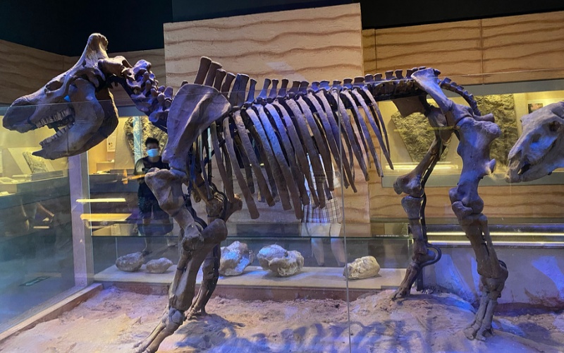 Guangdong Museum.jpg