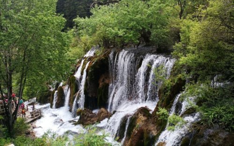 Panda Waterfall.jpg