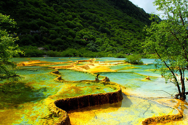 Jiuzhaigou in Summer.jpg