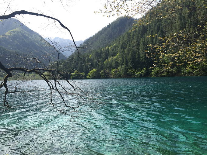 Jiuzhaigou in Spring.jpg