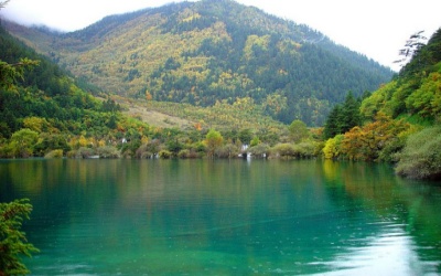 Sparkling sea in jiuzhaigou.jpg