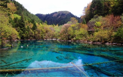 Wuhuahai in Jiuzhaigou.jpg