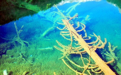 Xiniu Sea in Jiuzhaigou.jpg
