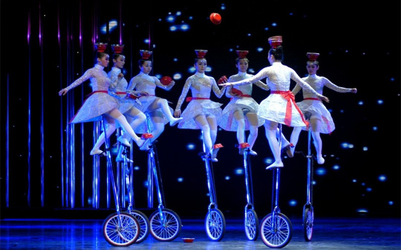 Shanghai Acrobatic 