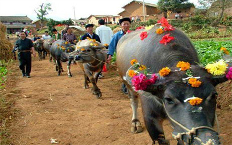 Ethnic Minority Festivals in Guilin 