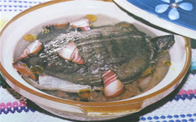 Ham and Turtle soup