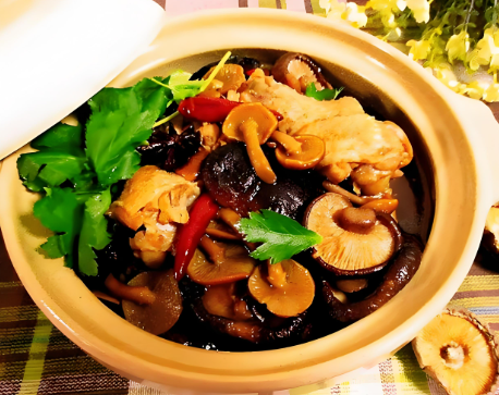崂山菇炖鸡.png